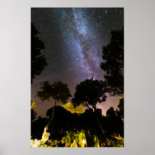 Bäume Landschaft mit Milchstraße Poster