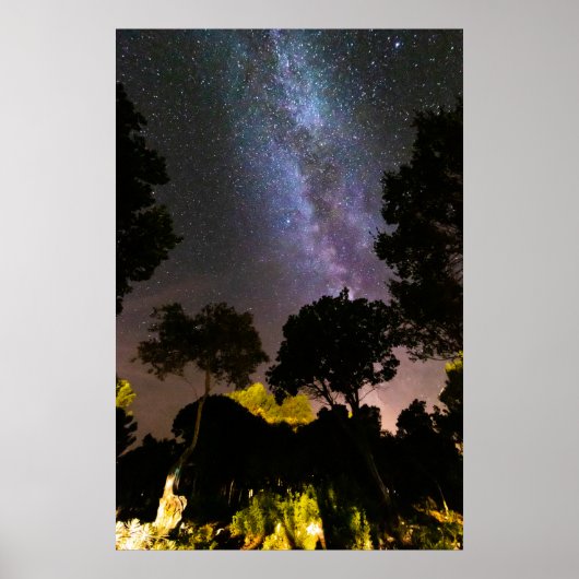 Bäume Landschaft mit Milchstraße Poster (Vorne)