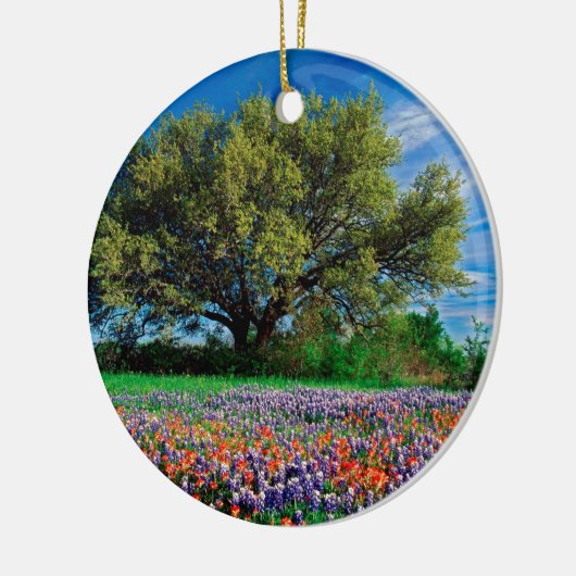 Bäume leben Eiche unter Texas Bluebonnets Keramikornament (Links)