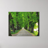 Bäume Leinwanddruck (Vorderseite)