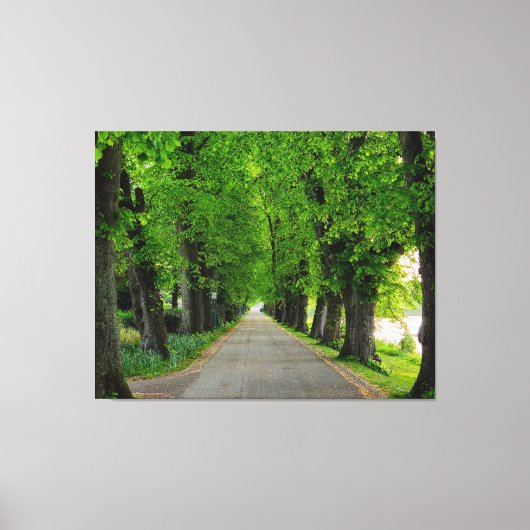 Bäume Leinwanddruck (Vorderseite)