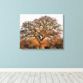 BÄUME LEINWANDDRUCK (Insitu (Holzboden))