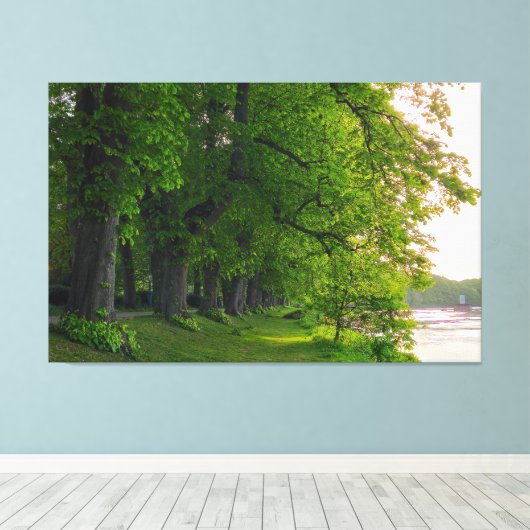 Bäume Leinwanddruck (Insitu (Holzboden))