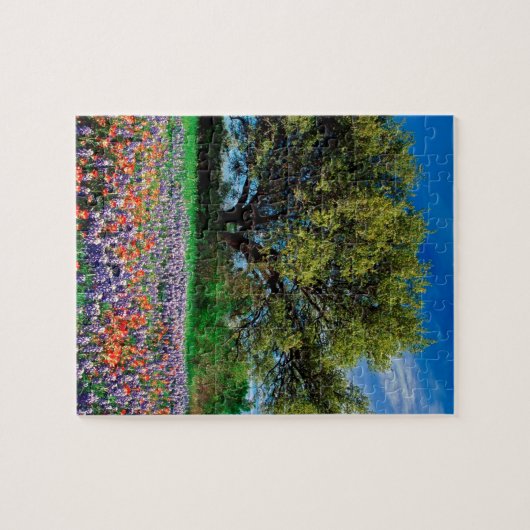 Bäume Live Oak unter TexasBluebonnets Puzzle (Horizontal)