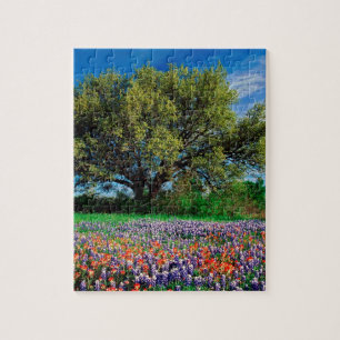 Bäume Live Oak unter TexasBluebonnets Puzzle
