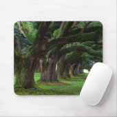 BÄUME LOUISIANAS LIVE OAK MOUSEPAD (Mit Mouse)
