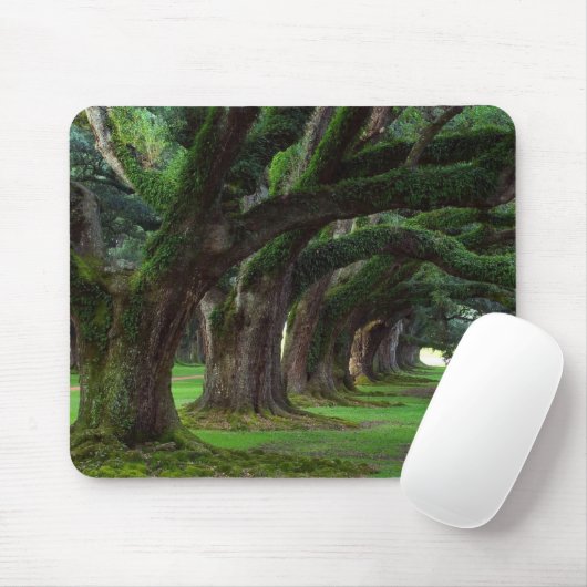 BÄUME LOUISIANAS LIVE OAK MOUSEPAD (Mit Mouse)
