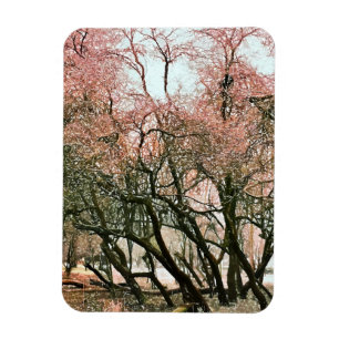 BÄUME MAGNET