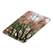 BÄUME MAGNET (Linke Seite)