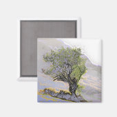 BÄUME MAGNET (Vorderseite/Rückseite)