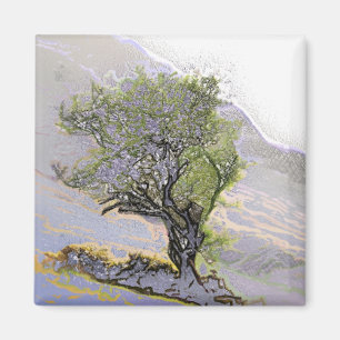 BÄUME MAGNET