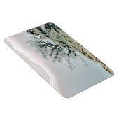 BÄUME MAGNET (Rechte Seite)