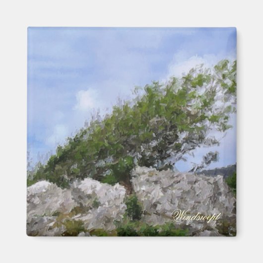 BÄUME MAGNET (Vorne)