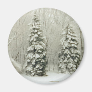 Bäume Magnet