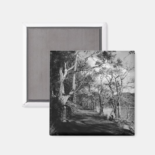 BÄUME MAGNET (Vorderseite/Rückseite)