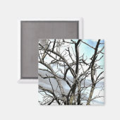 BÄUME MAGNET (Vorderseite/Rückseite)