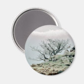 BÄUME MAGNET (Vorderseite/Rückseite)