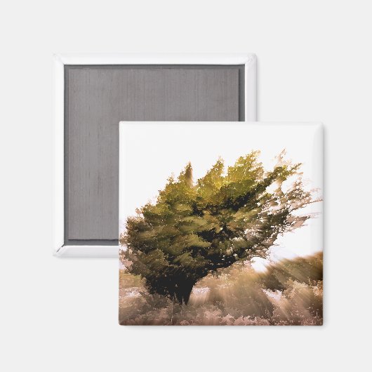 BÄUME MAGNET (Vorderseite/Rückseite)