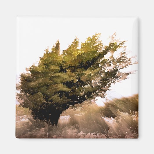 BÄUME MAGNET (Vorne)