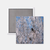 BÄUME MAGNET (Vorderseite/Rückseite)