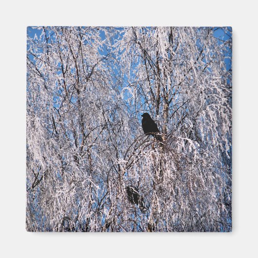 BÄUME MAGNET (Vorne)