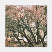 BÄUME MAGNET (Vorne)