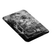 BÄUME MAGNET (Rechte Seite)