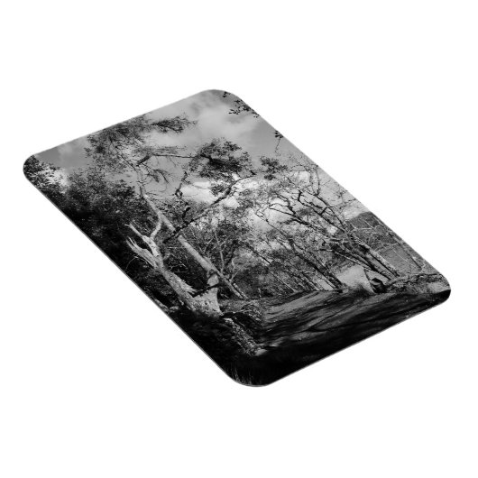 BÄUME MAGNET (Rechte Seite)