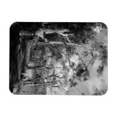 BÄUME MAGNET (Horizontal)