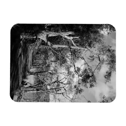 BÄUME MAGNET (Horizontal)