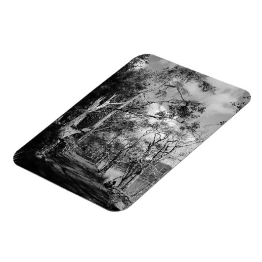 BÄUME MAGNET (Linke Seite)