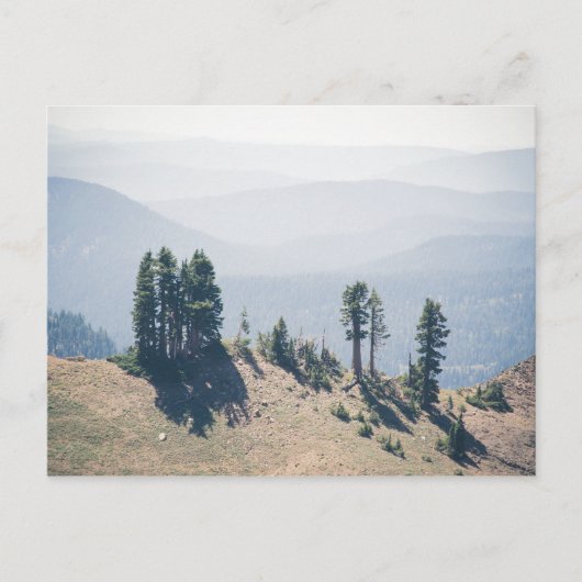 Bäume mit Blick Lassen | Postkarte (Vorderseite)