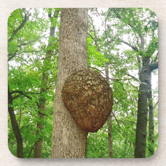 Bäume mit großem beiliegendem getränkeuntersetzer (Vorderseite)