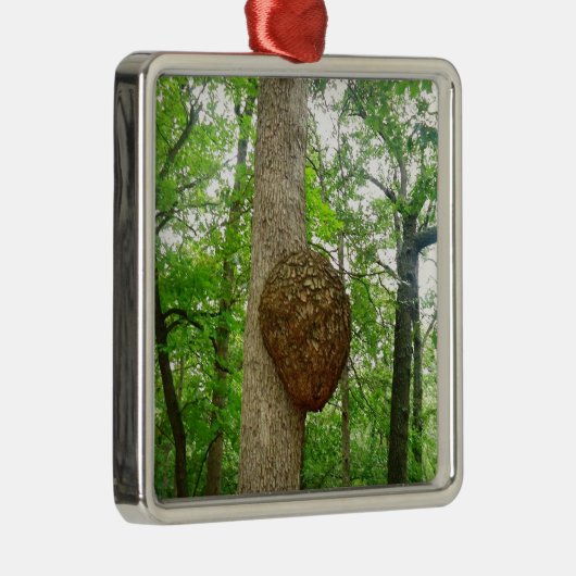 Bäume mit großem beiliegendem silbernes ornament (Rechts)