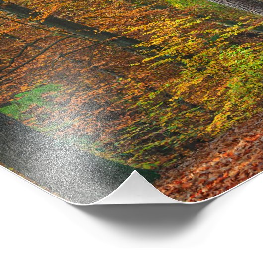 Bäume mit Herbstblättern in einem Wald Fotodruck (Ecke)