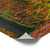 Bäume mit Herbstblättern in einem Wald Poster (Ecke)