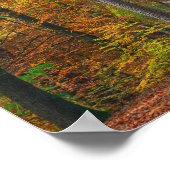 Bäume mit Herbstblättern in einem Wald Poster (Ecke)
