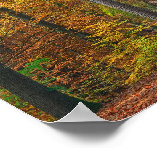 Bäume mit Herbstblättern in einem Wald Poster (Ecke)