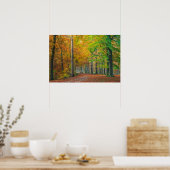 Bäume mit Herbstblättern in einem Wald Poster (Küche)