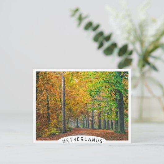 Bäume mit Herbstblättern in einem Wald Postkarte (Stehend Vorderseite)