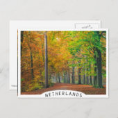 Bäume mit Herbstblättern in einem Wald Postkarte (Vorne/Hinten)