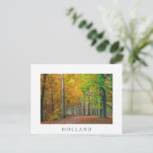 Bäume mit Herbstblättern in einem Wald Postkarte (Stehend Vorderseite)