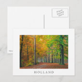 Bäume mit Herbstblättern in einem Wald Postkarte (Vorne/Hinten)