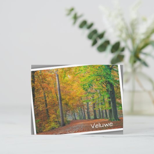 Bäume mit Herbstblättern in einem Wald Postkarte (Stehend Vorderseite)