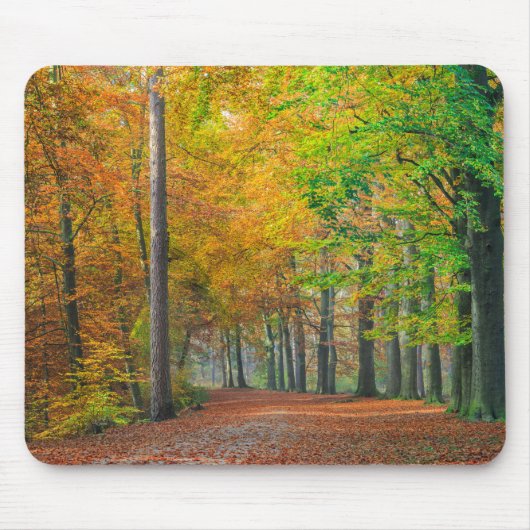 Bäume mit Herbstlaub in einem Wald Mousepad (Vorne)