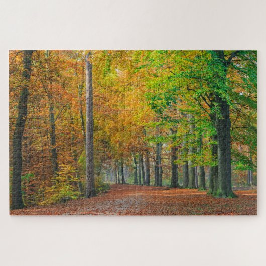 Bäume mit Herbstlaub in einem Wald Puzzle (Horizontal)