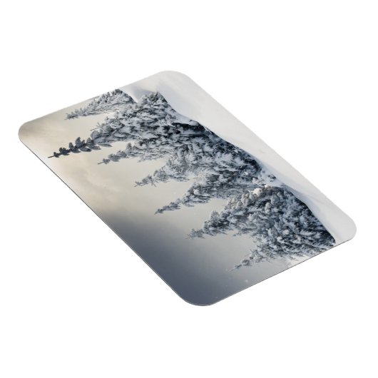 Bäume mit Hoarfrost und Schnee bedeckt Magnet (Rechte Seite)