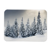 Bäume mit Hoarfrost und Schnee bedeckt Magnet (Horizontal)