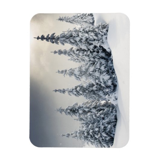 Bäume mit Hoarfrost und Schnee bedeckt Magnet (Vertikal)