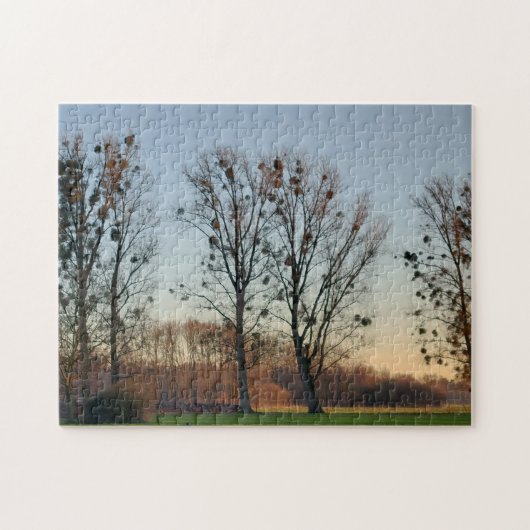 Bäume mit Mistletoe gegen einen klaren Himmel Puzzle (Horizontal)